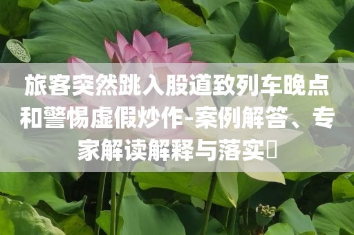 旅客突然跳入股道致列車晚點(diǎn)和警惕虛假炒作-案例解答、專家解讀解釋與落實(shí)?