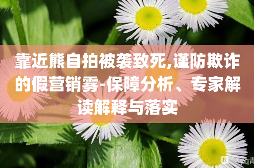 靠近熊自拍被襲致死,謹防欺詐的假營銷霧-保障分析、專家解讀解釋與落實