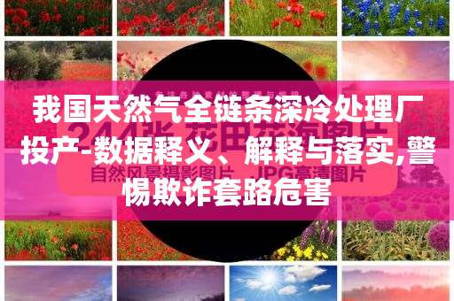 我國天然氣全鏈條深冷處理廠投產(chǎn)-數(shù)據(jù)釋義、解釋與落實(shí),警惕欺詐套路危害