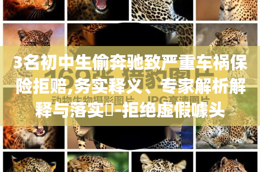 3名初中生偷奔馳致嚴(yán)重車禍保險拒賠,務(wù)實(shí)釋義、專家解析解釋與落實(shí)?-拒絕虛假噱頭