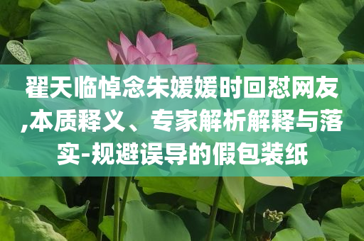 翟天臨悼念朱媛媛時回懟網(wǎng)友,本質釋義、專家解析解釋與落實-規(guī)避誤導的假包裝紙