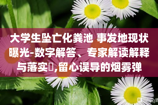 大學生墜亡化糞池 事發(fā)地現(xiàn)狀曝光-數(shù)字解答、專家解讀解釋與落實?,留心誤導的煙霧彈