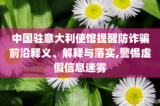 中國(guó)駐意大利使館提醒防詐騙前沿釋義、解釋與落實(shí),警惕虛假信息迷霧