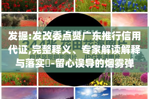 發(fā)掘:發(fā)改委點(diǎn)贊廣東推行信用代證,完整釋義、專家解讀解釋與落實(shí)?-留心誤導(dǎo)的煙霧彈