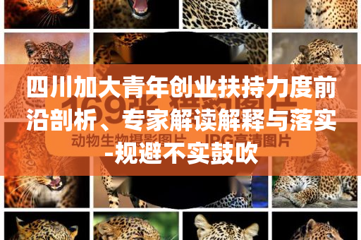 四川加大青年創(chuàng)業(yè)扶持力度前沿剖析、專家解讀解釋與落實-規(guī)避不實鼓吹