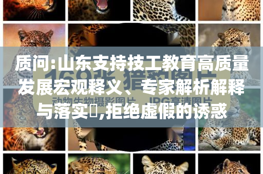 質(zhì)問:山東支持技工教育高質(zhì)量發(fā)展宏觀釋義、專家解析解釋與落實(shí)?,拒絕虛假的誘惑