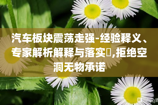 汽車板塊震蕩走強-經驗釋義、專家解析解釋與落實?,拒絕空洞無物承諾