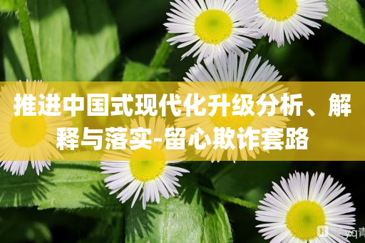 推進中國式現(xiàn)代化升級分析、解釋與落實-留心欺詐套路