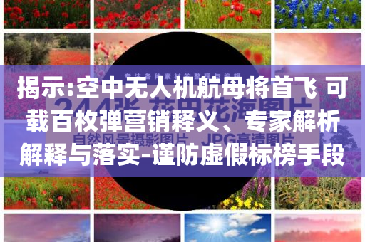 揭示:空中無(wú)人機(jī)航母將首飛 可載百枚彈營(yíng)銷釋義、專家解析解釋與落實(shí)-謹(jǐn)防虛假標(biāo)榜手段