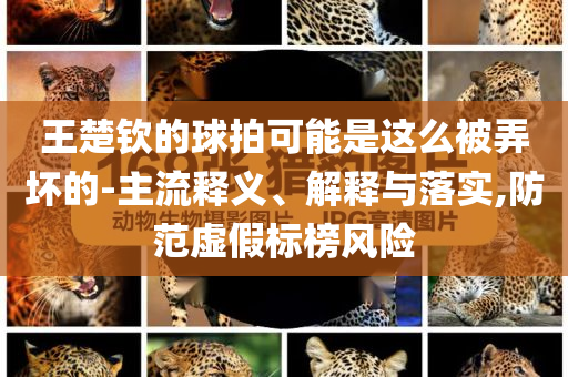 王楚欽的球拍可能是這么被弄壞的-主流釋義、解釋與落實(shí),防范虛假標(biāo)榜風(fēng)險