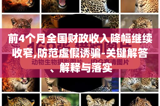 前4個(gè)月全國(guó)財(cái)政收入降幅繼續(xù)收窄,防范虛假誘騙-關(guān)鍵解答、解釋與落實(shí)