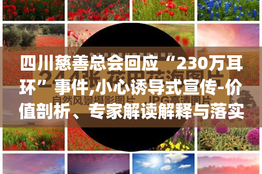 四川慈善總會(huì)回應(yīng)“230萬(wàn)耳環(huán)”事件,小心誘導(dǎo)式宣傳-價(jià)值剖析、專(zhuān)家解讀解釋與落實(shí)