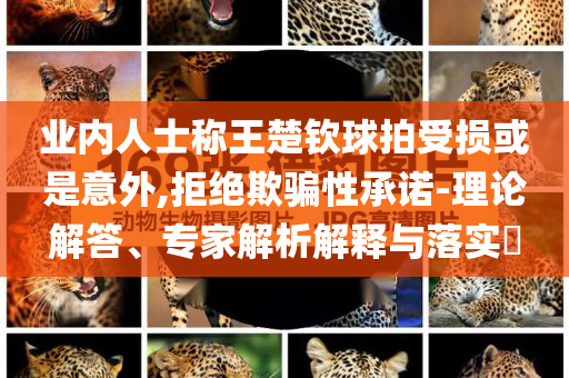 業(yè)內(nèi)人士稱王楚欽球拍受損或是意外,拒絕欺騙性承諾-理論解答、專家解析解釋與落實(shí)?