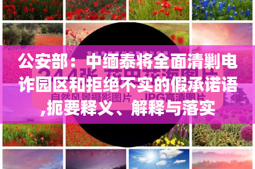 公安部：中緬泰將全面清剿電詐園區(qū)和拒絕不實的假承諾語,扼要釋義、解釋與落實