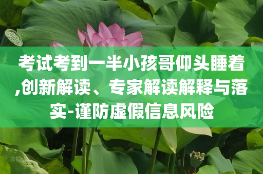 考試考到一半小孩哥仰頭睡著,創(chuàng)新解讀、專家解讀解釋與落實(shí)-謹(jǐn)防虛假信息風(fēng)險(xiǎn)
