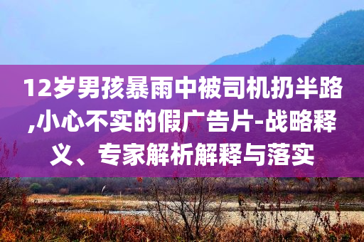 12歲男孩暴雨中被司機(jī)扔半路,小心不實(shí)的假?gòu)V告片-戰(zhàn)略釋義、專(zhuān)家解析解釋與落實(shí)