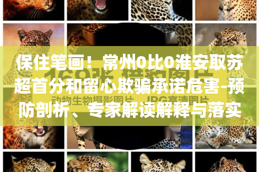 保住筆畫！常州0比0淮安取蘇超首分和留心欺騙承諾危害-預(yù)防剖析、專家解讀解釋與落實(shí)