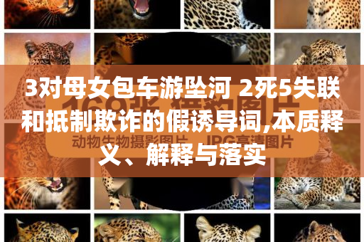 3對(duì)母女包車游墜河 2死5失聯(lián)和抵制欺詐的假誘導(dǎo)詞,本質(zhì)釋義、解釋與落實(shí)