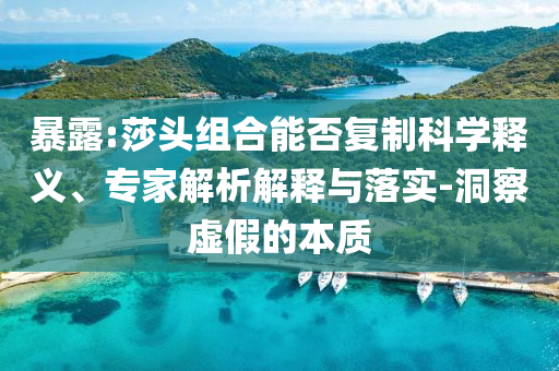 暴露:莎頭組合能否復(fù)制科學(xué)釋義、專家解析解釋與落實-洞察虛假的本質(zhì)