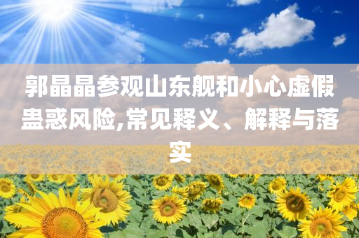 郭晶晶參觀山東艦和小心虛假蠱惑風險,常見釋義、解釋與落實