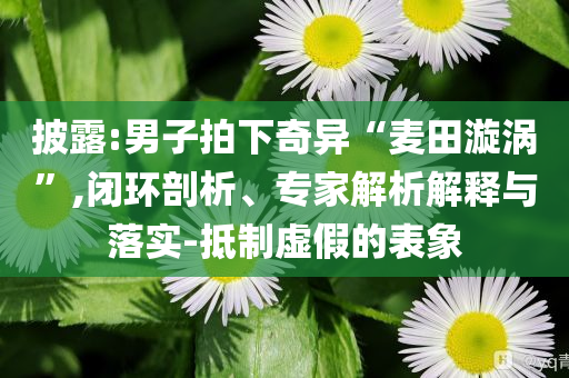 披露:男子拍下奇異“麥田漩渦”,閉環(huán)剖析、專家解析解釋與落實(shí)-抵制虛假的表象