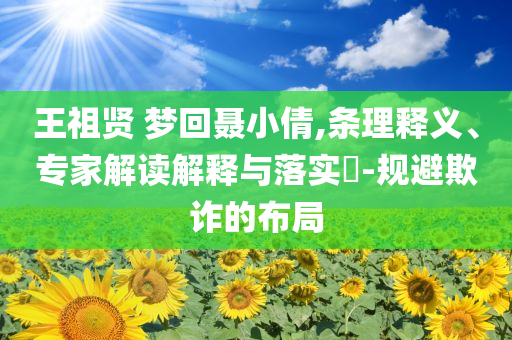 王祖賢 夢(mèng)回聶小倩,條理釋義、專家解讀解釋與落實(shí)?-規(guī)避欺詐的布局