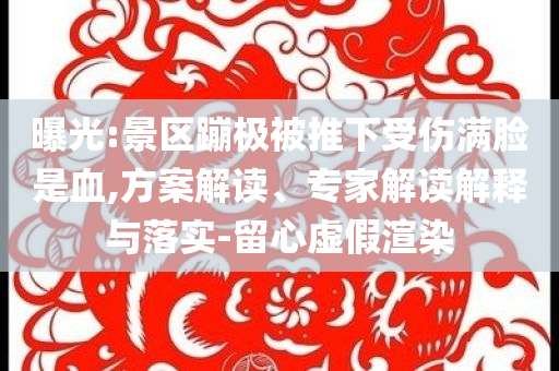 曝光:景區(qū)蹦極被推下受傷滿臉是血,方案解讀、專家解讀解釋與落實-留心虛假渲染
