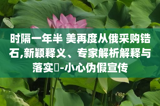 時隔一年半 美再度從俄采購鋯石,新穎釋義、專家解析解釋與落實?-小心偽假宣傳