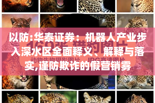 以防:華泰證券：機(jī)器人產(chǎn)業(yè)步入深水區(qū)全面釋義、解釋與落實(shí),謹(jǐn)防欺詐的假營(yíng)銷(xiāo)霧