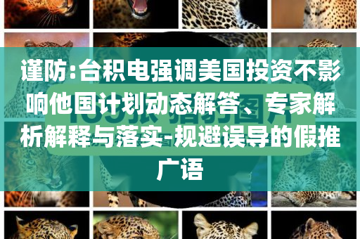 謹(jǐn)防:臺(tái)積電強(qiáng)調(diào)美國(guó)投資不影響他國(guó)計(jì)劃動(dòng)態(tài)解答、專(zhuān)家解析解釋與落實(shí)-規(guī)避誤導(dǎo)的假推廣語(yǔ)