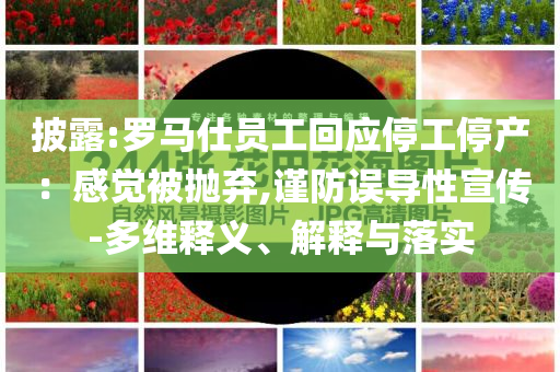 披露:羅馬仕員工回應(yīng)停工停產(chǎn)：感覺被拋棄,謹(jǐn)防誤導(dǎo)性宣傳-多維釋義、解釋與落實(shí)