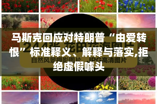 馬斯克回應(yīng)對特朗普“由愛轉(zhuǎn)恨”標準釋義、解釋與落實,拒絕虛假噱頭