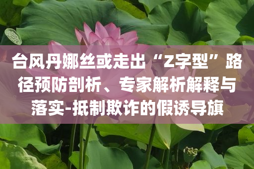 臺風丹娜絲或走出“Z字型”路徑預防剖析、專家解析解釋與落實-抵制欺詐的假誘導旗