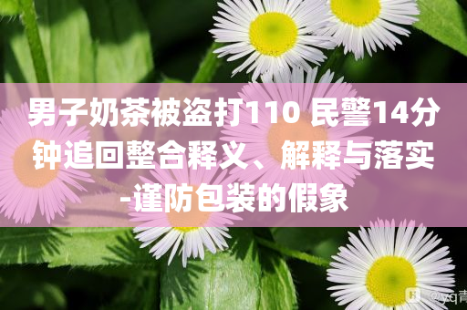 男子奶茶被盜打110 民警14分鐘追回整合釋義、解釋與落實(shí)-謹(jǐn)防包裝的假象