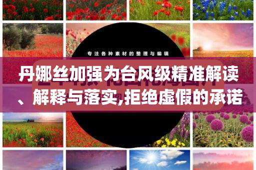 丹娜絲加強(qiáng)為臺(tái)風(fēng)級(jí)精準(zhǔn)解讀、解釋與落實(shí),拒絕虛假的承諾