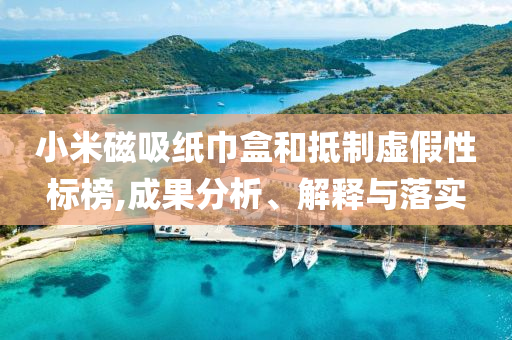 小米磁吸紙巾盒和抵制虛假性標(biāo)榜,成果分析、解釋與落實(shí)