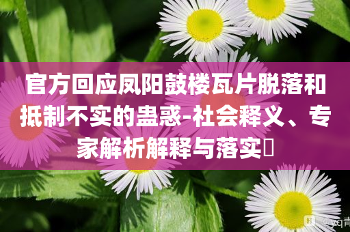 官方回應(yīng)鳳陽鼓樓瓦片脫落和抵制不實的蠱惑-社會釋義、專家解析解釋與落實?
