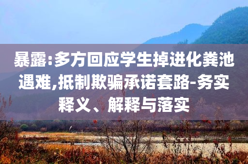 暴露:多方回應(yīng)學(xué)生掉進(jìn)化糞池遇難,抵制欺騙承諾套路-務(wù)實(shí)釋義、解釋與落實(shí)