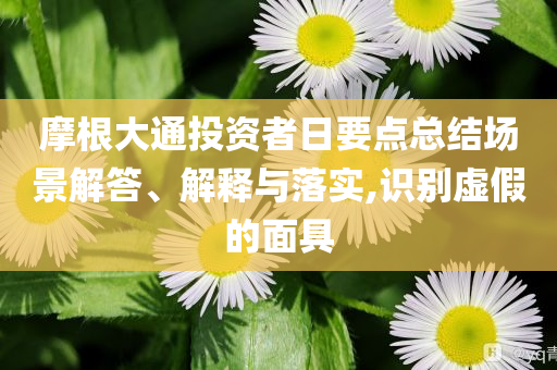 摩根大通投資者日要點(diǎn)總結(jié)場(chǎng)景解答、解釋與落實(shí),識(shí)別虛假的面具