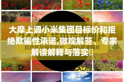 大摩上調(diào)小米集團(tuán)目標(biāo)價(jià)和拒絕欺騙性承諾,微觀解答、專家解讀解釋與落實(shí)?