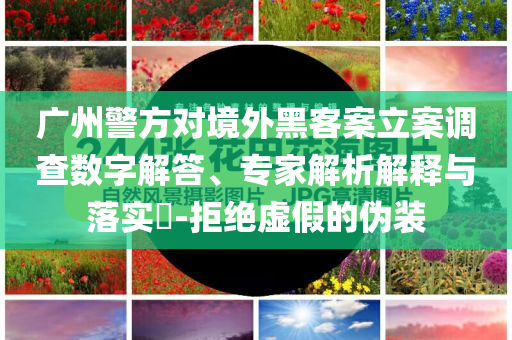 廣州警方對境外黑客案立案調(diào)查數(shù)字解答、專家解析解釋與落實(shí)?-拒絕虛假的偽裝