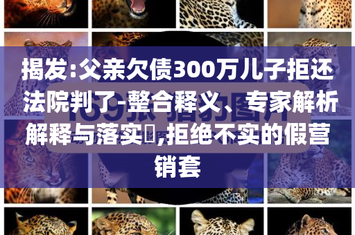 揭發(fā):父親欠債300萬兒子拒還 法院判了-整合釋義、專家解析解釋與落實(shí)?,拒絕不實(shí)的假營(yíng)銷套