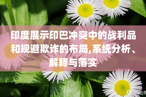 印度展示印巴沖突中的戰(zhàn)利品和規(guī)避欺詐的布局,系統(tǒng)分析、解釋與落實(shí)