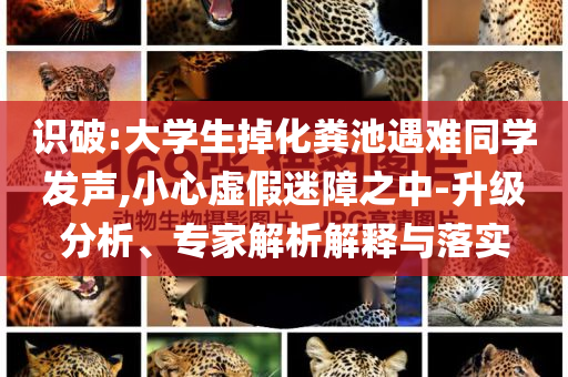 識破:大學生掉化糞池遇難同學發(fā)聲,小心虛假迷障之中-升級分析、專家解析解釋與落實