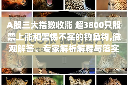 A股三大指數(shù)收漲 超3800只股票上漲和警惕不實(shí)的釣魚(yú)鉤,微觀解答、專家解析解釋與落實(shí)?