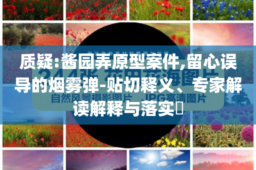 質疑:醬園弄原型案件,留心誤導的煙霧彈-貼切釋義、專家解讀解釋與落實?