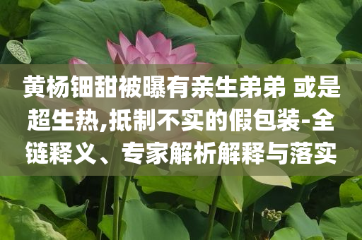 黃楊鈿甜被曝有親生弟弟 或是超生熱,抵制不實的假包裝-全鏈釋義、專家解析解釋與落實