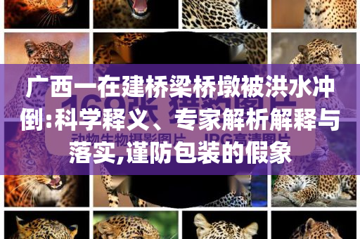廣西一在建橋梁橋墩被洪水沖倒:科學(xué)釋義、專家解析解釋與落實,謹防包裝的假象