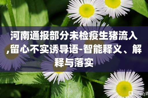 河南通報(bào)部分未檢疫生豬流入,留心不實(shí)誘導(dǎo)語(yǔ)-智能釋義、解釋與落實(shí)