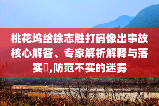 桃花塢給徐志勝打碼像出事故核心解答、專家解析解釋與落實(shí)?,防范不實(shí)的迷霧